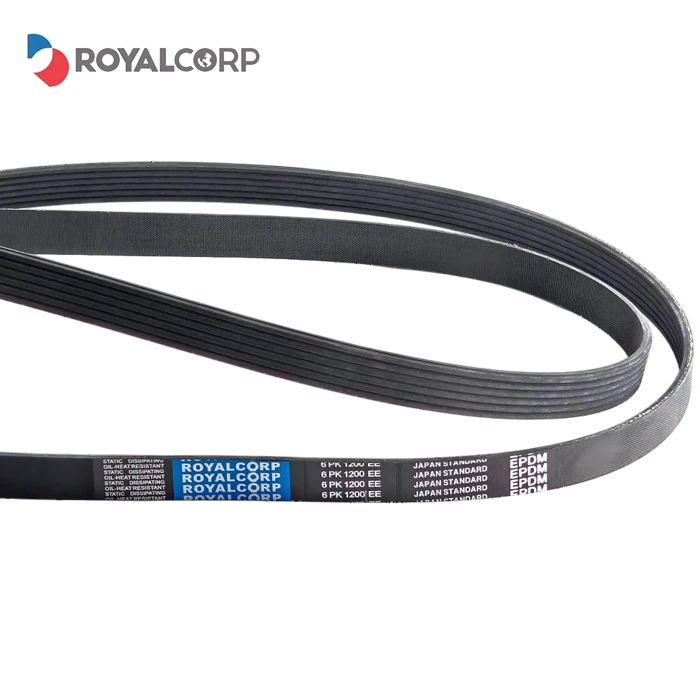 Correia Multirib Elast / Elastic Poly V