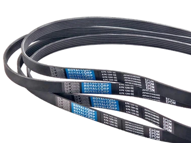 Elastic Ribbed Belts 3 Elastic Ribbed Belts 3